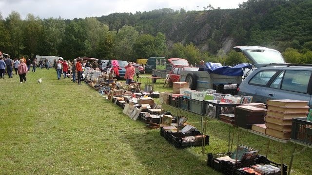 Grande Fête Champêtre des Alpes Mancelles 2025